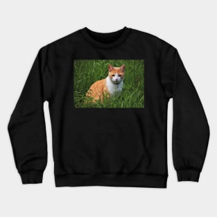 Curious Cat Crewneck Sweatshirt